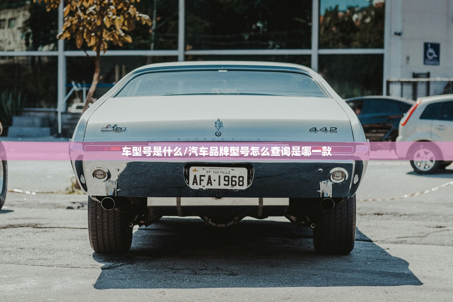 车型号是什么/汽车品牌型号怎么查询是哪一款