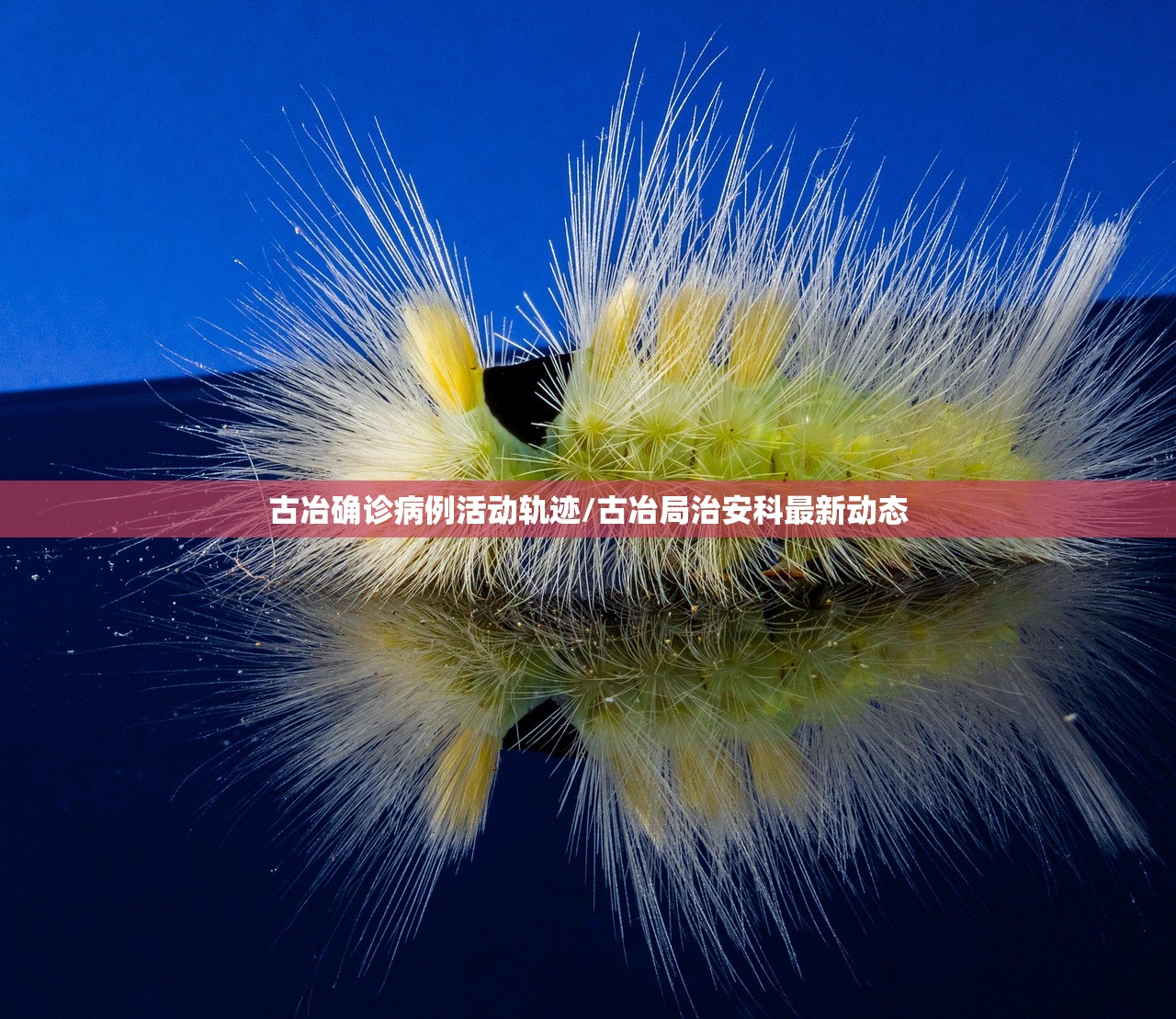 古冶确诊病例活动轨迹/古冶局治安科最新动态