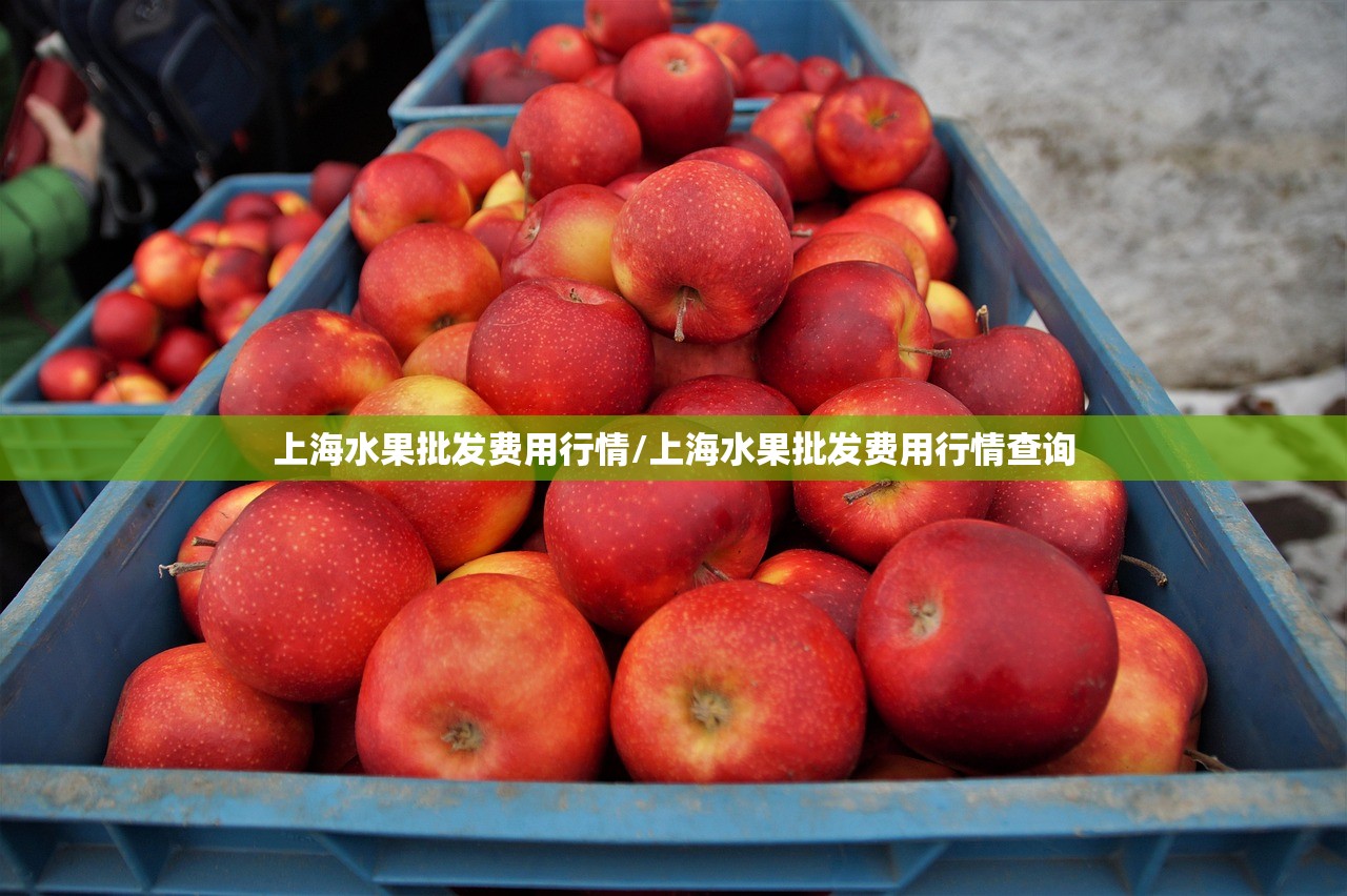 上海水果批发费用行情/上海水果批发费用行情查询