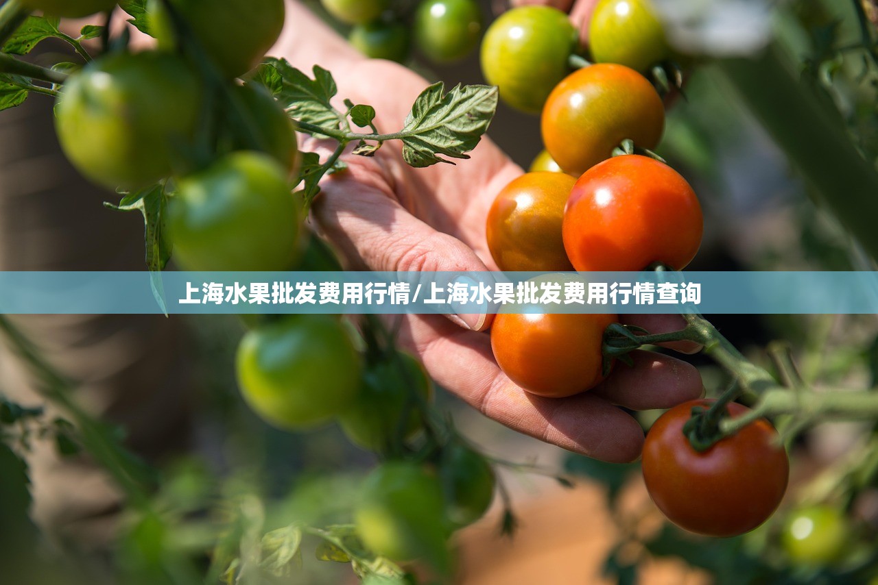 上海水果批发费用行情/上海水果批发费用行情查询