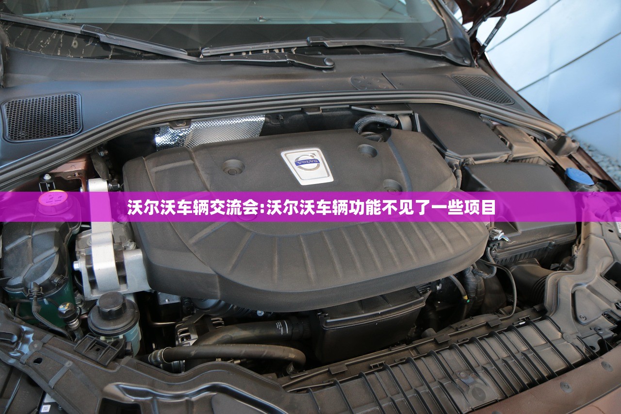 沃尔沃车辆交流会:沃尔沃车辆功能不见了一些项目