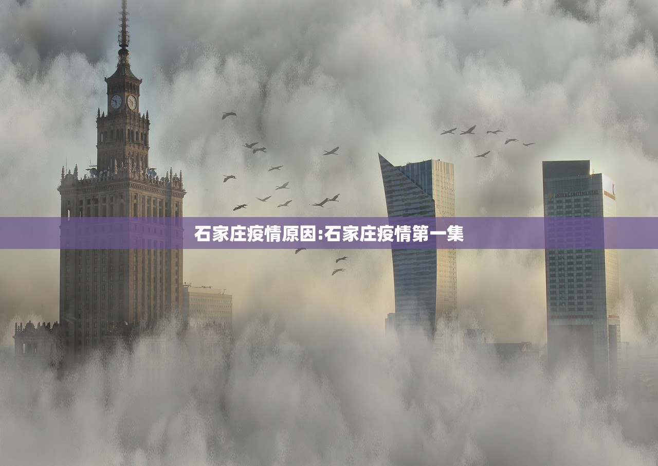 石家庄疫情原因:石家庄疫情第一集