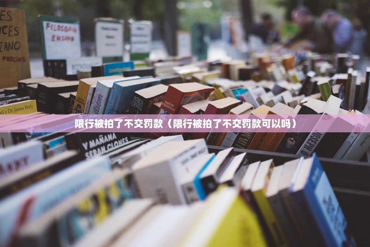 限行被拍了不交罚款（限行被拍了不交罚款可以吗）
