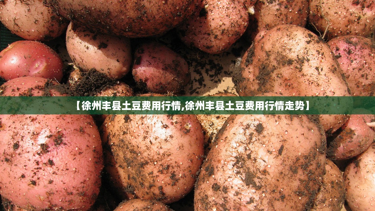 【徐州丰县土豆费用行情,徐州丰县土豆费用行情走势】 【徐州丰县土豆费用行情,徐州丰县土豆费用行情走势】