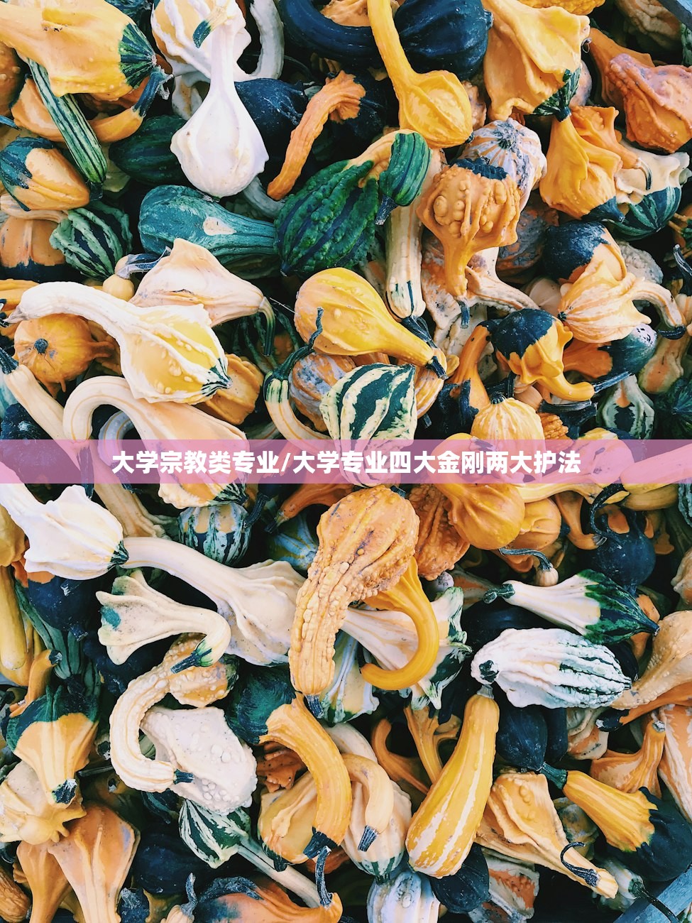 大学宗教类专业/大学专业四大金刚两大护法 大学宗教类专业/大学专业四大金刚两大护法