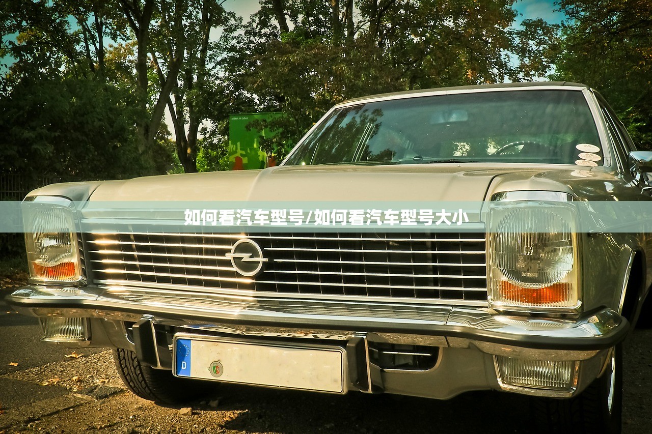 如何看汽车型号/如何看汽车型号大小 如何看汽车型号/如何看汽车型号大小