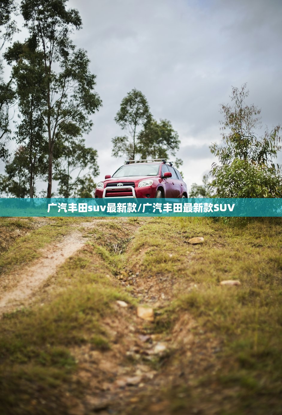 广汽丰田suv最新款/广汽丰田最新款SUV 广汽丰田suv最新款/广汽丰田最新款SUV