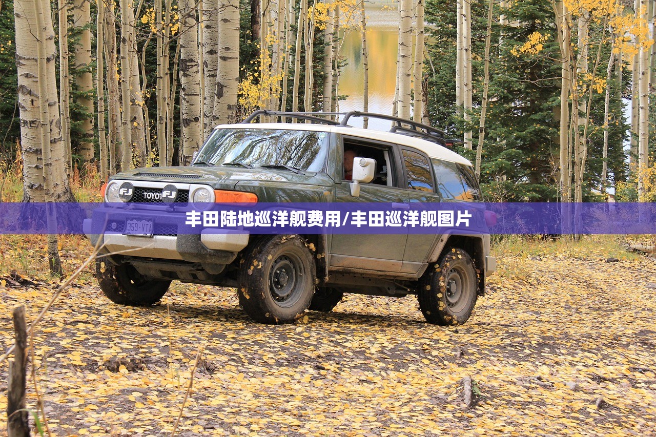 丰田陆地巡洋舰费用/丰田巡洋舰图片 丰田陆地巡洋舰费用/丰田巡洋舰图片