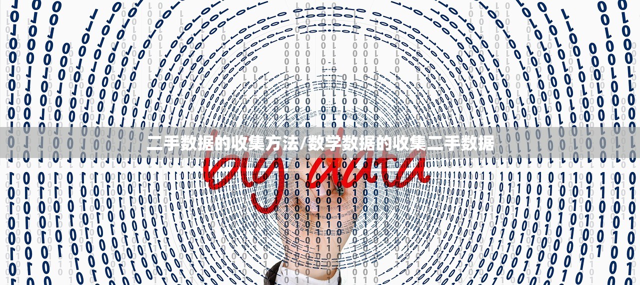 二手数据的收集方法/数学数据的收集二手数据