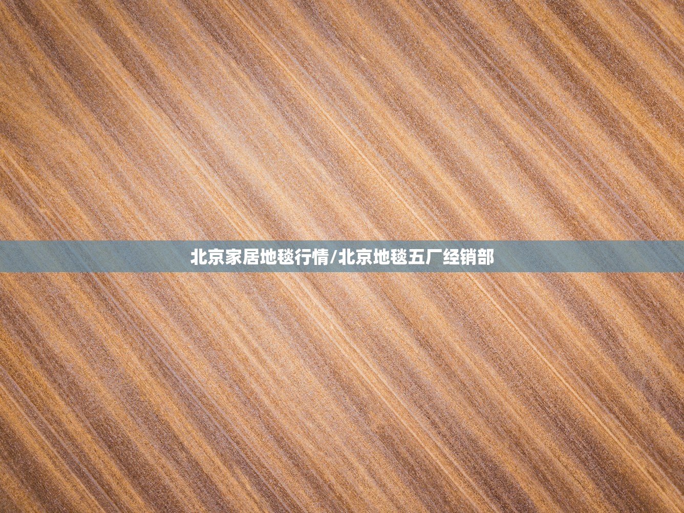 北京家居地毯行情/北京地毯五厂经销部