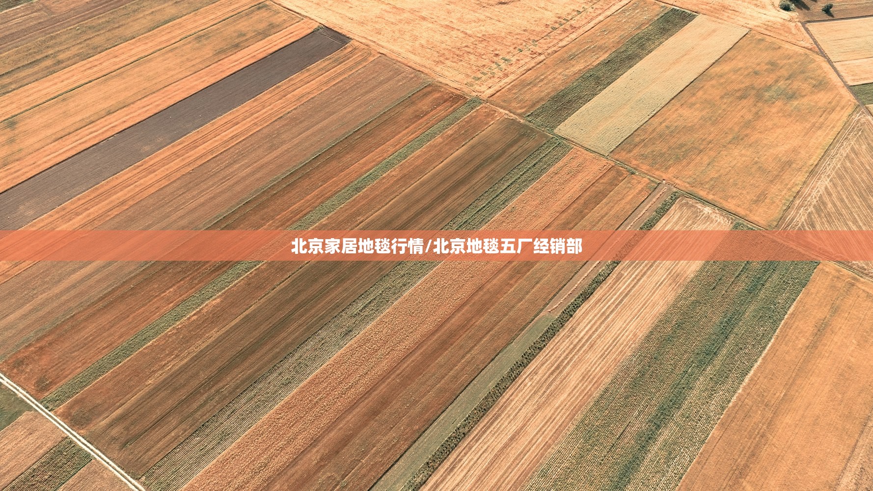 北京家居地毯行情/北京地毯五厂经销部