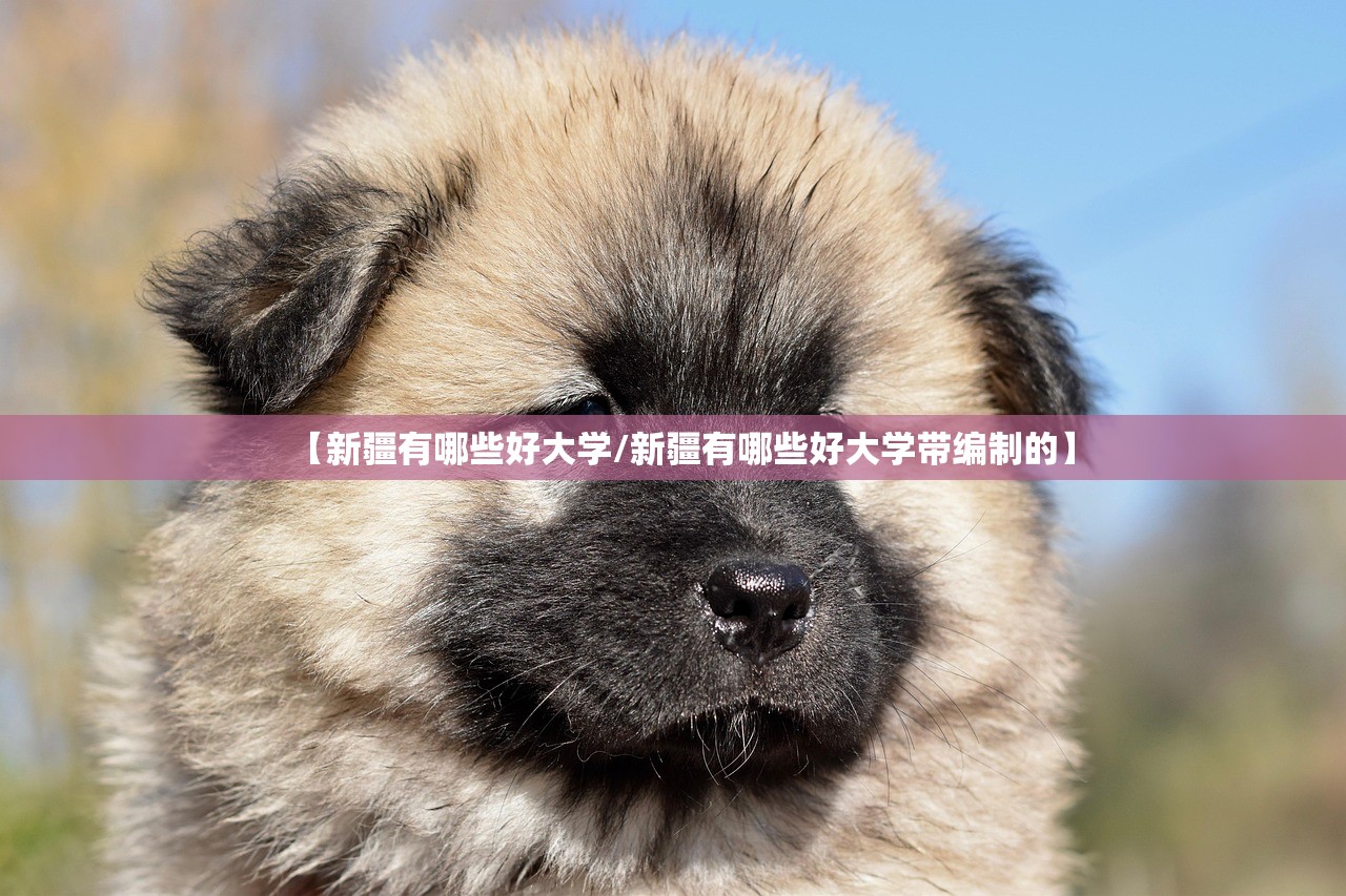 【新疆有哪些好大学/新疆有哪些好大学带编制的】