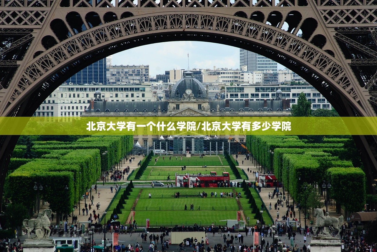 北京大学有一个什么学院/北京大学有多少学院