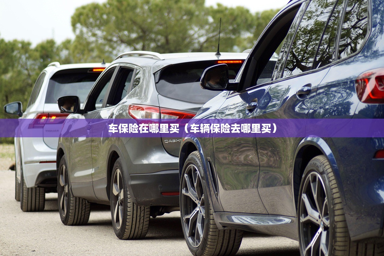 车保险在哪里买（车辆保险去哪里买）