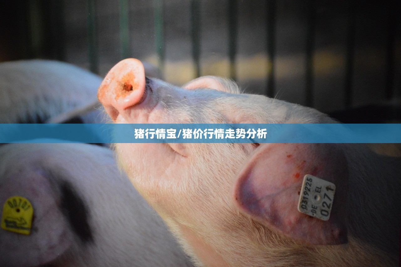 猪行情宝/猪价行情走势分析