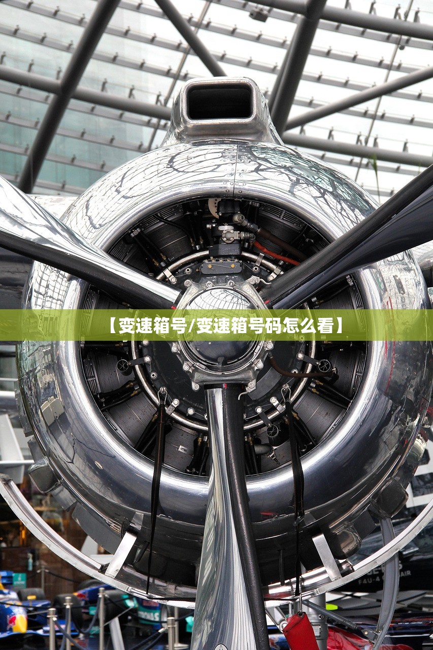 【变速箱号/变速箱号码怎么看】
