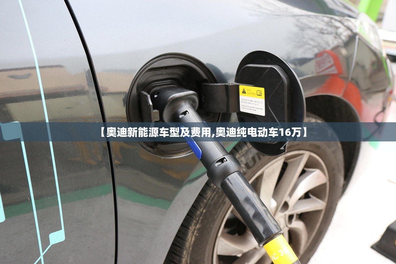 【奥迪新能源车型及费用,奥迪纯电动车16万】