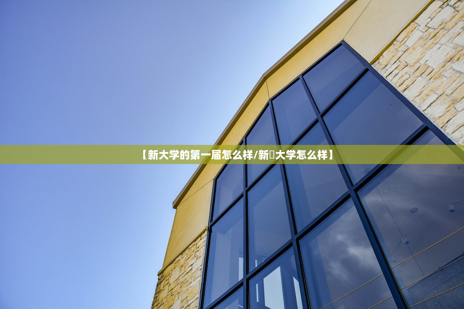 【新大学的第一届怎么样/新壃大学怎么样】