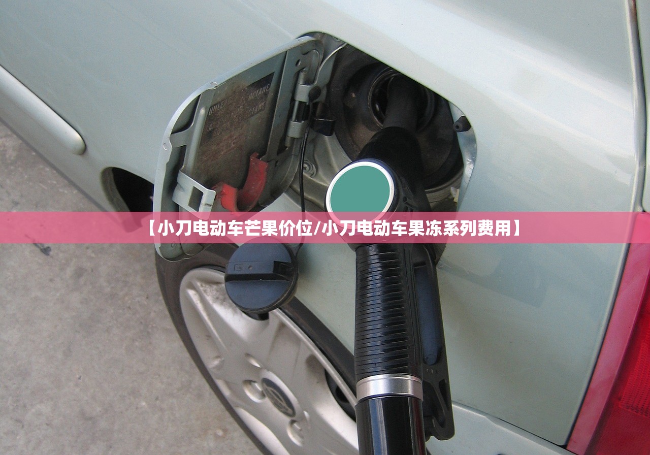 【小刀电动车芒果价位/小刀电动车果冻系列费用】