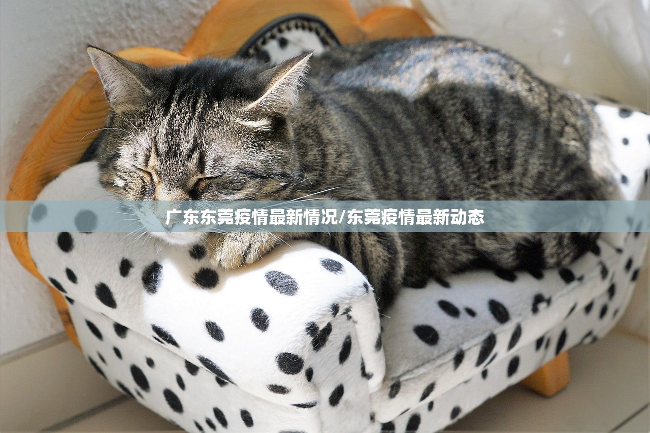 广东东莞疫情最新情况/东莞疫情最新动态