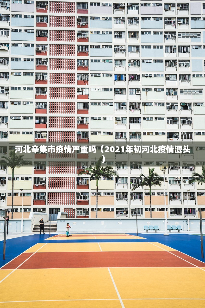 河北辛集市疫情严重吗（2021年初河北疫情源头）
