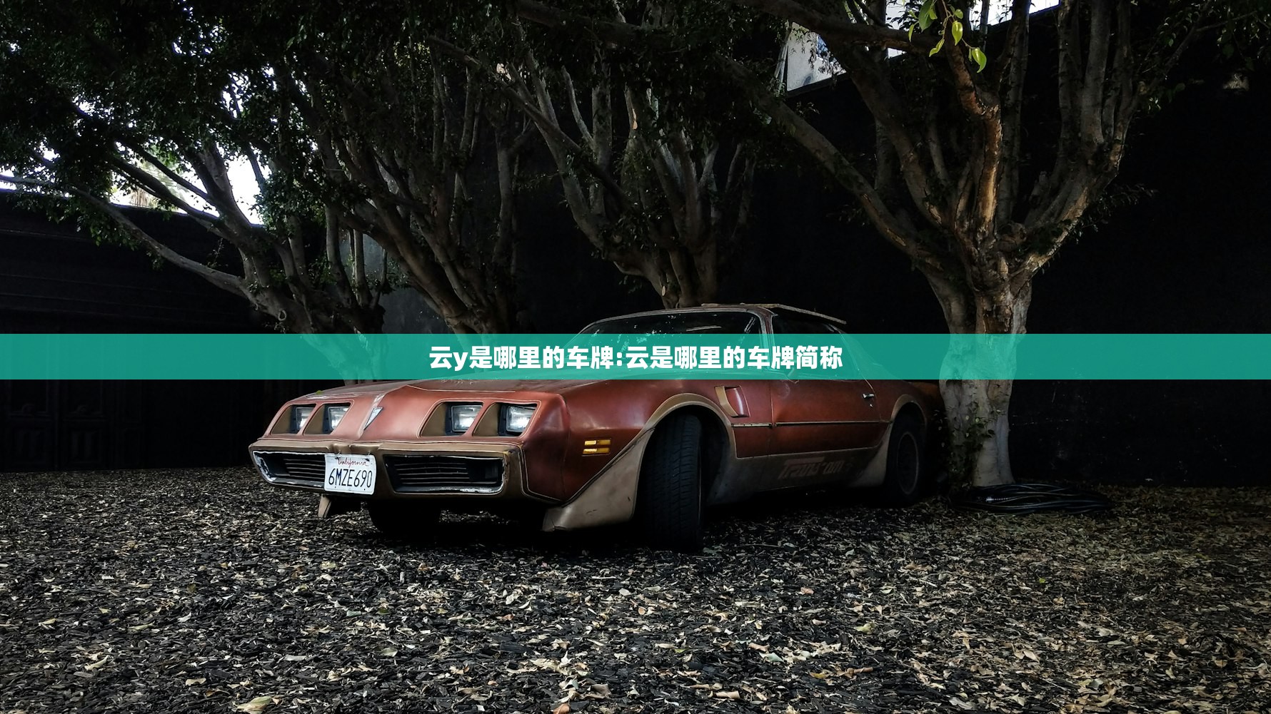 云y是哪里的车牌:云是哪里的车牌简称