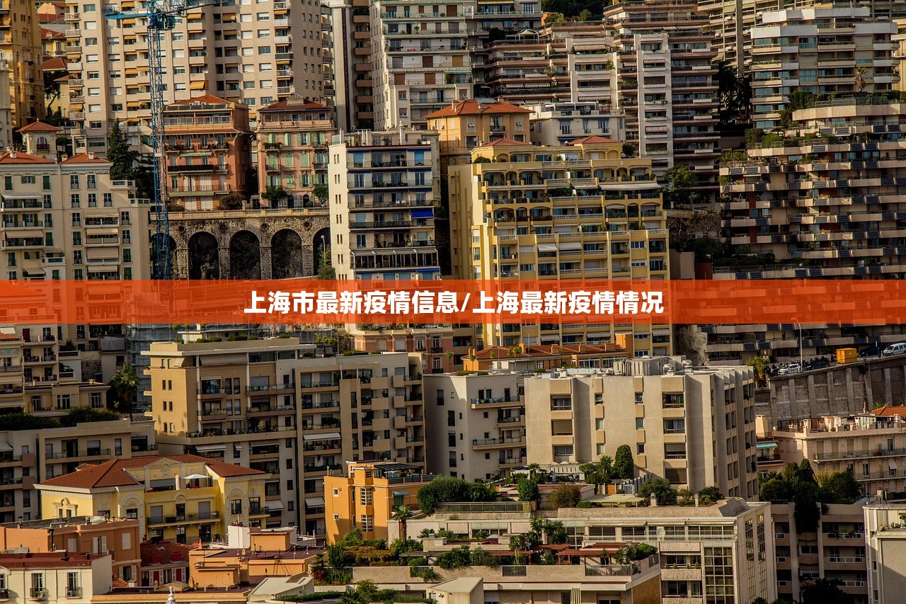 上海市最新疫情信息/上海最新疫情情况