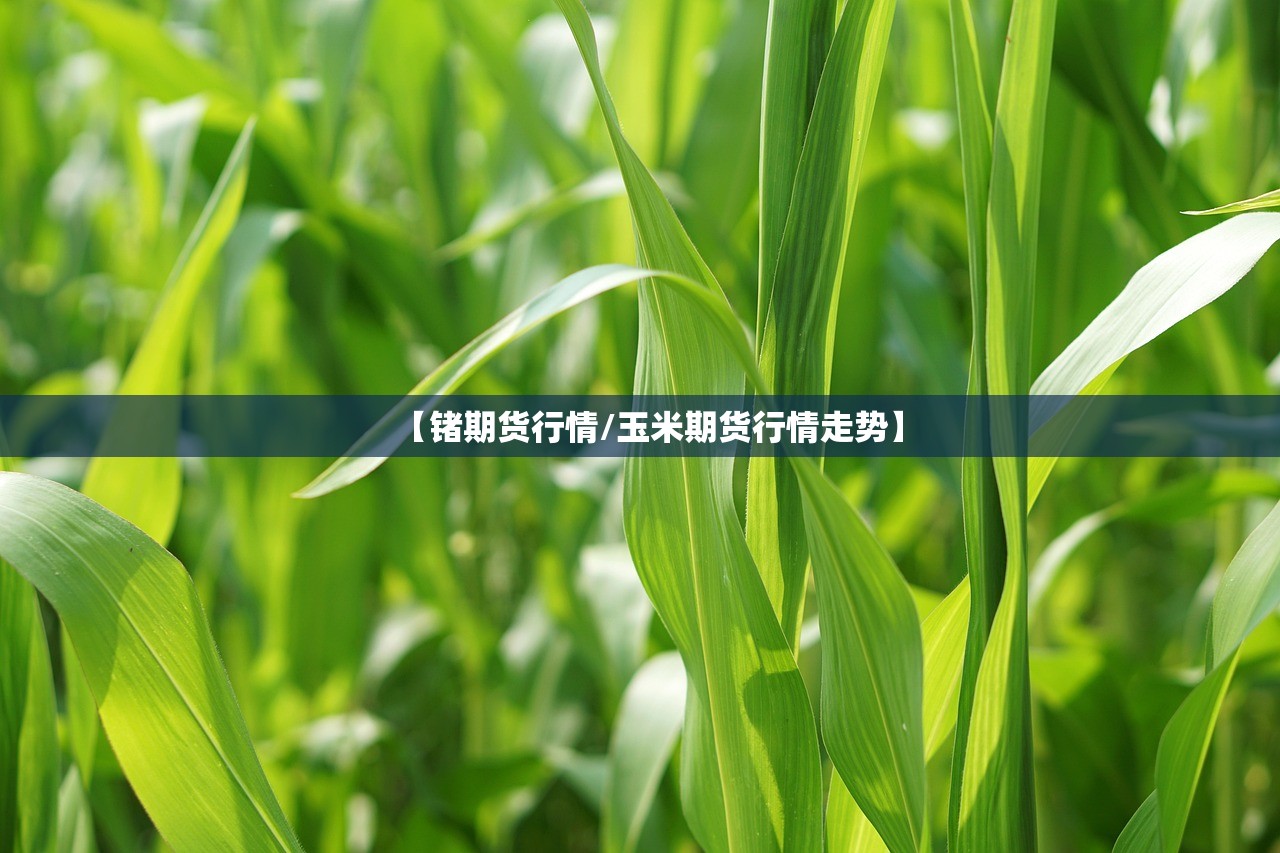 【锗期货行情/玉米期货行情走势】