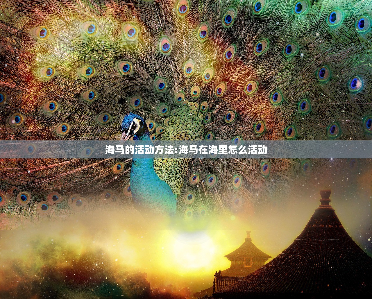 海马的活动方法:海马在海里怎么活动 海马的活动方法:海马在海里怎么活动