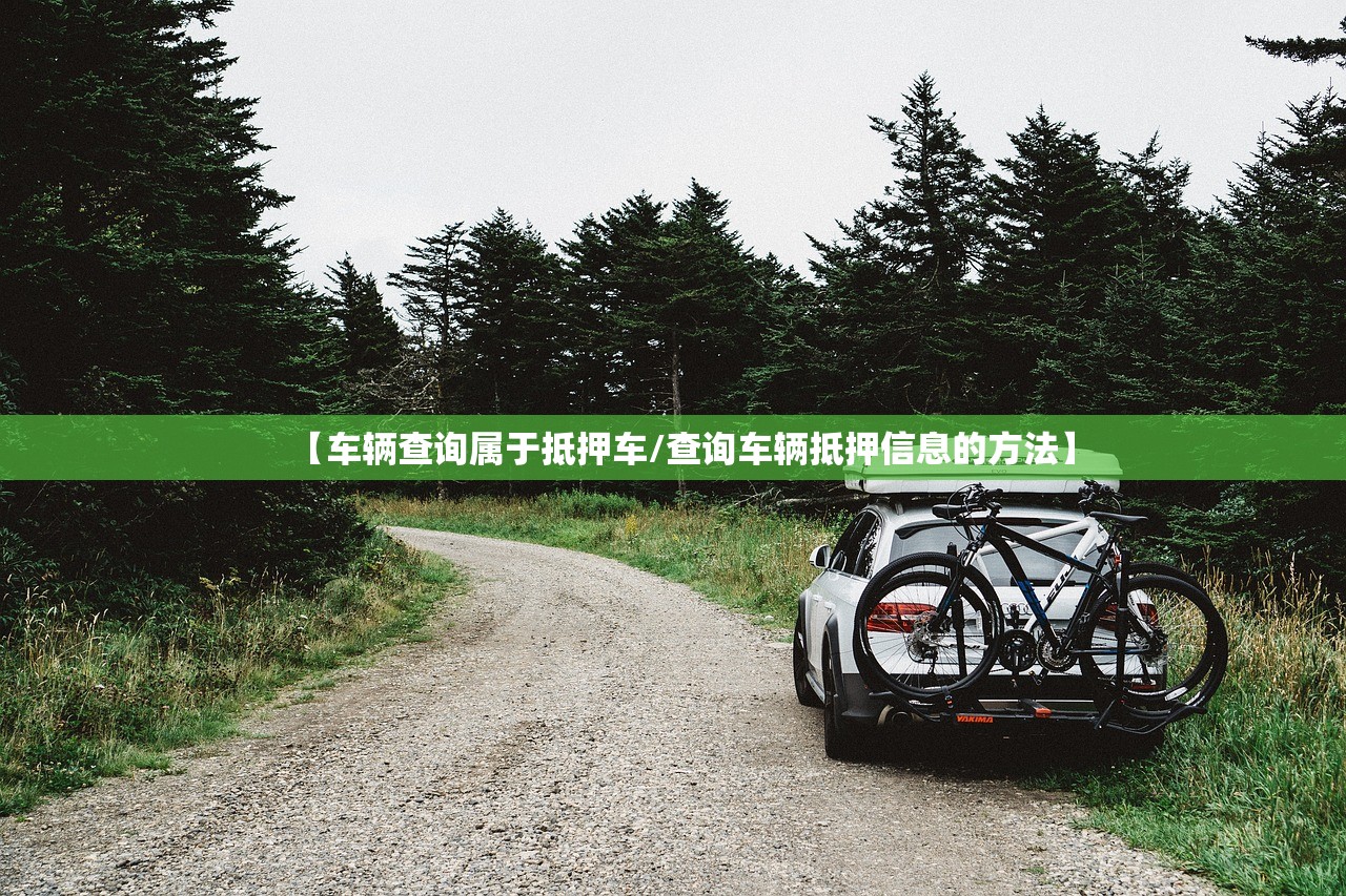 【车辆查询属于抵押车/查询车辆抵押信息的方法】