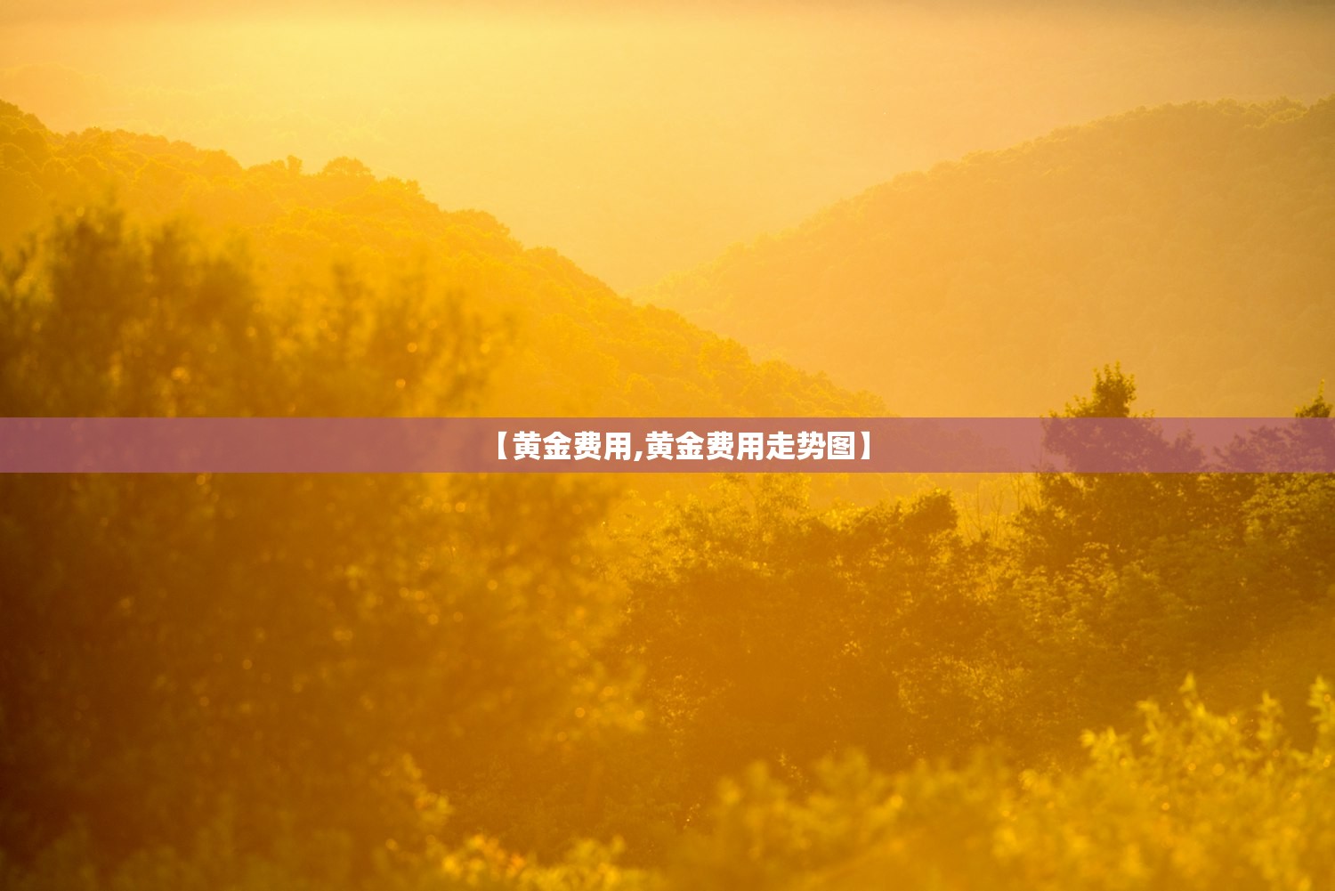 【黄金费用,黄金费用走势图】 【黄金费用,黄金费用走势图】