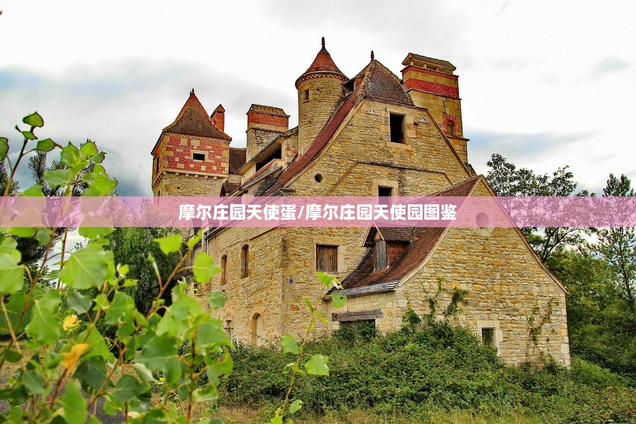 摩尔庄园天使蛋/摩尔庄园天使园图鉴 摩尔庄园天使蛋/摩尔庄园天使园图鉴