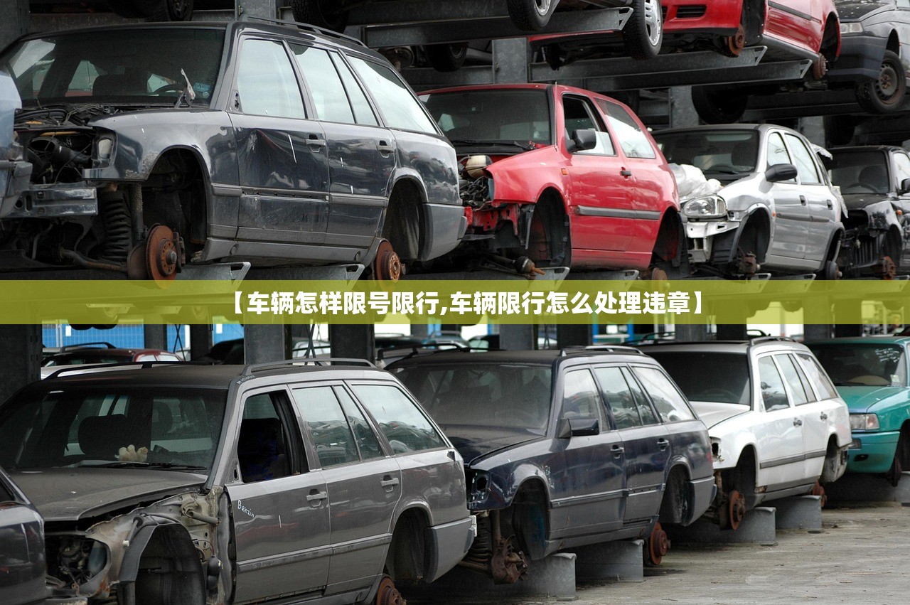 【车辆怎样限号限行,车辆限行怎么处理违章】