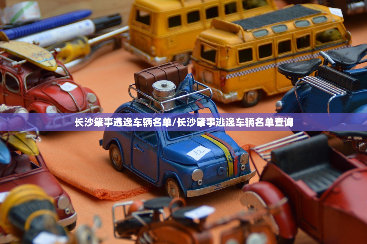 长沙肇事逃逸车辆名单/长沙肇事逃逸车辆名单查询 长沙肇事逃逸车辆名单/长沙肇事逃逸车辆名单查询