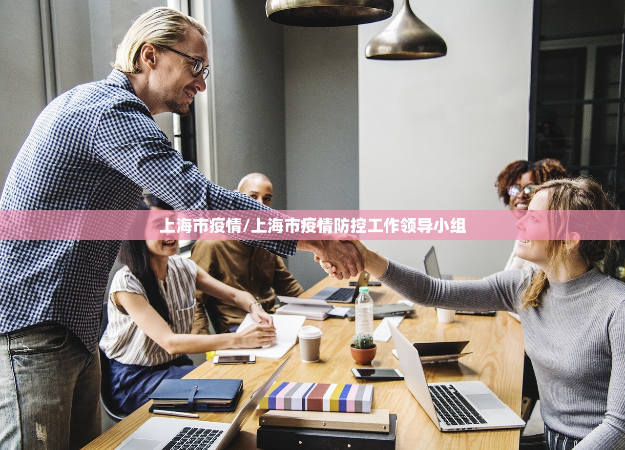 上海市疫情/上海市疫情防控工作领导小组 上海市疫情/上海市疫情防控工作领导小组
