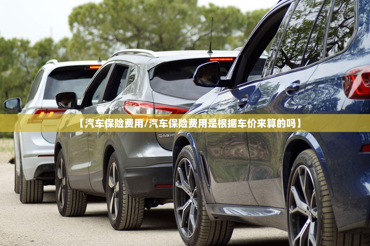 【汽车保险费用/汽车保险费用是根据车价来算的吗】