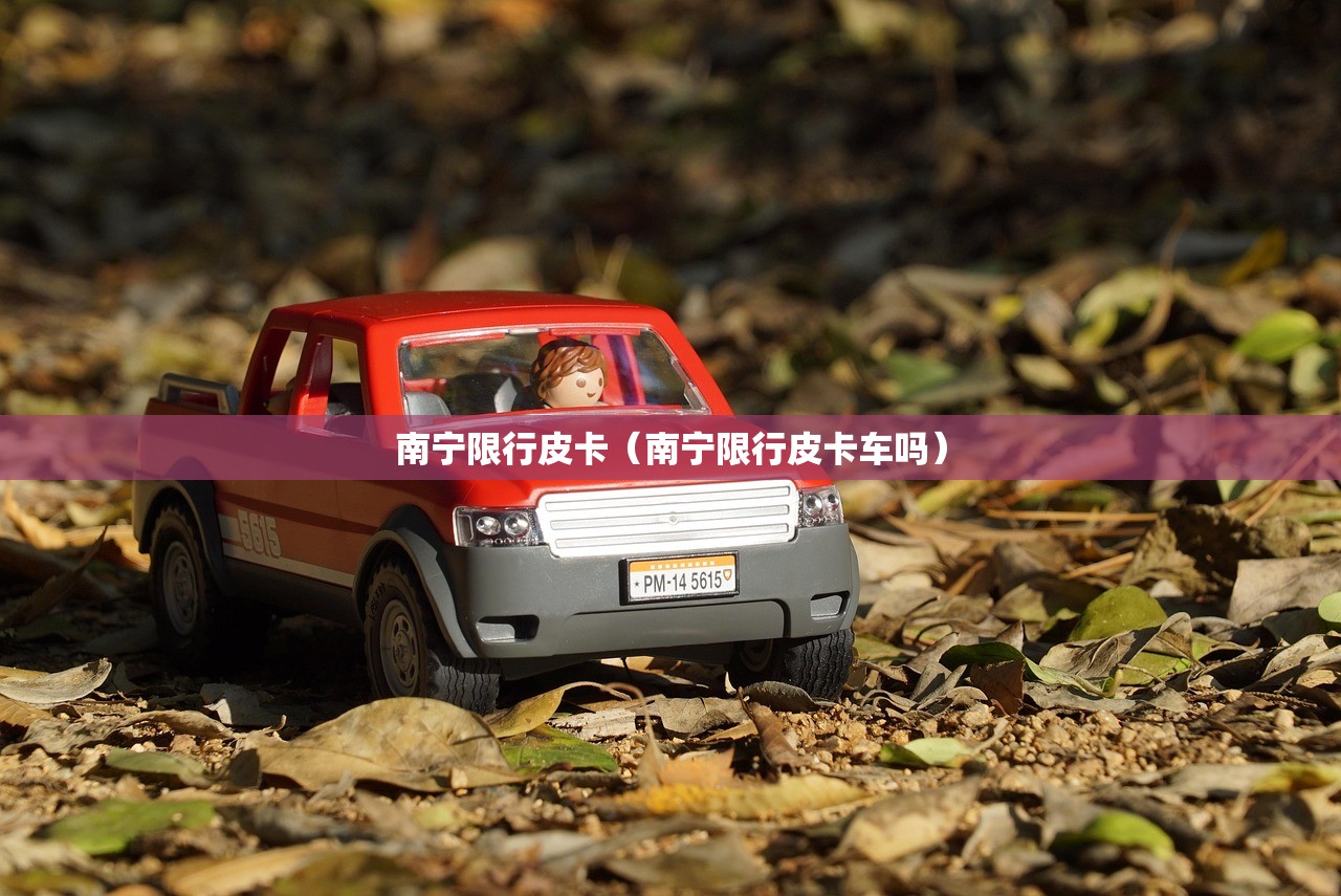 南宁限行皮卡(南宁限行皮卡车吗) 南宁限行皮卡(南宁限行皮卡车吗)