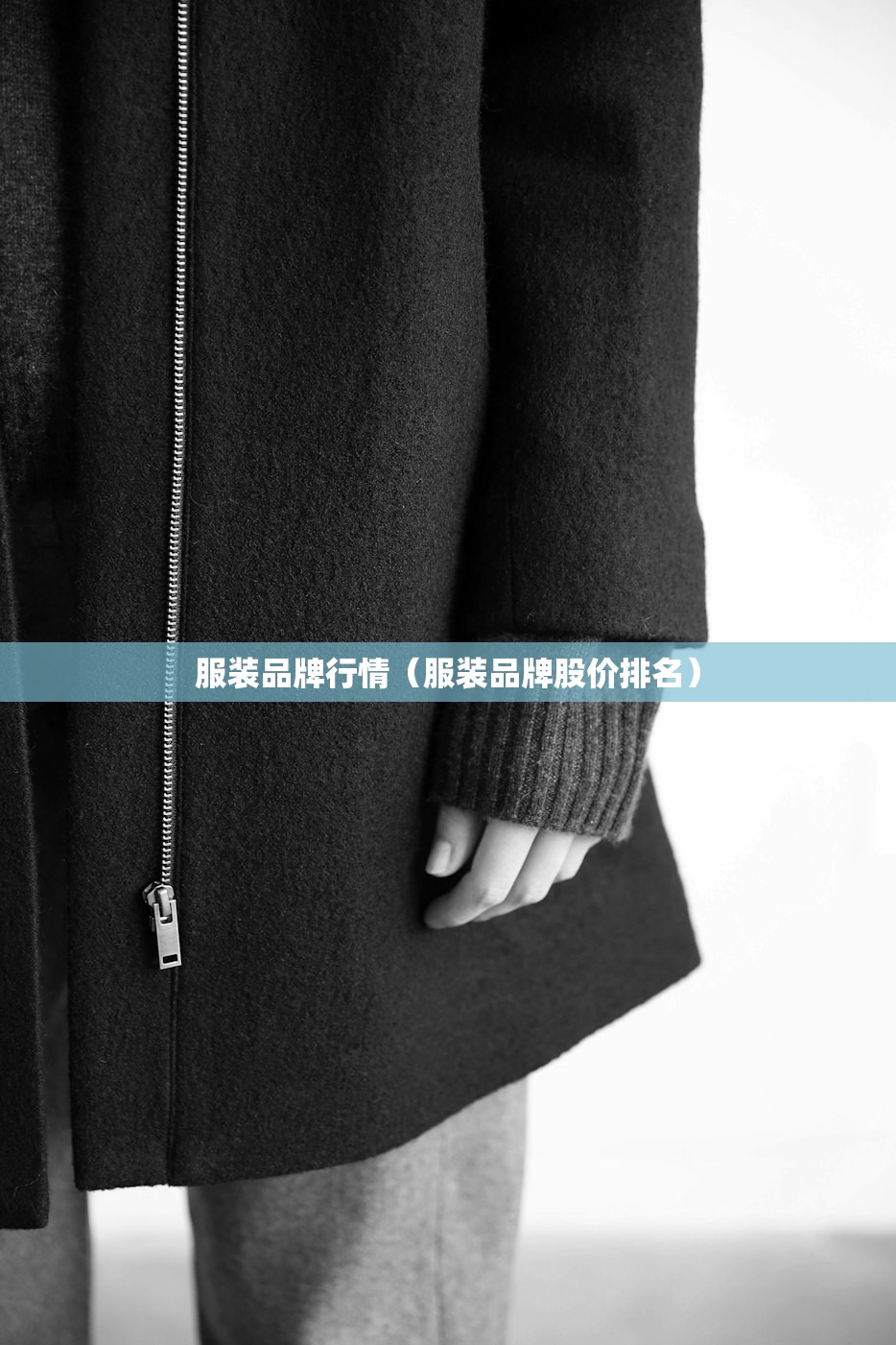服装品牌行情(服装品牌股价排名) 服装品牌行情(服装品牌股价排名)