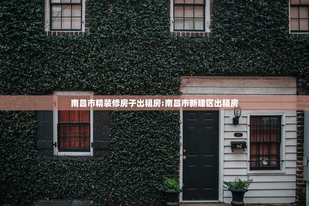 南昌市精装修房子出租房:南昌市新建区出租房