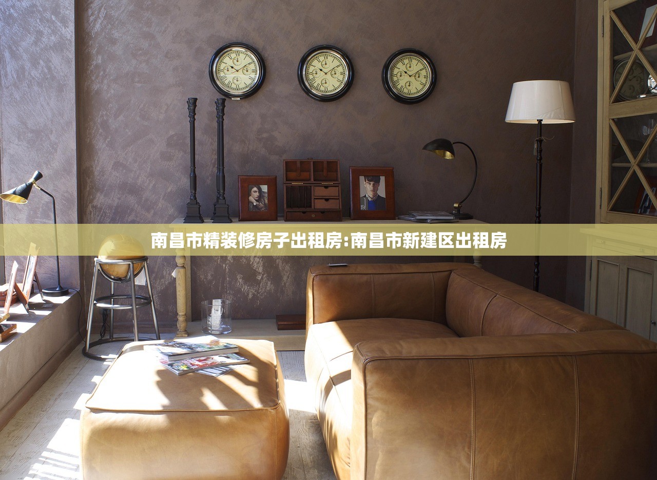 南昌市精装修房子出租房:南昌市新建区出租房