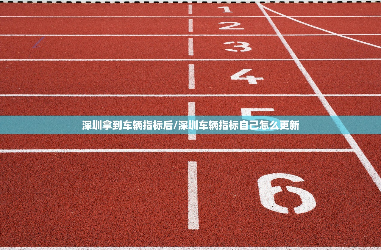 深圳拿到车辆指标后/深圳车辆指标自己怎么更新 深圳拿到车辆指标后/深圳车辆指标自己怎么更新