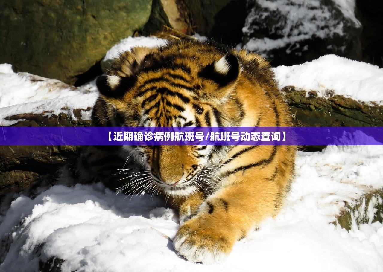 【近期确诊病例航班号/航班号动态查询】 【近期确诊病例航班号/航班号动态查询】