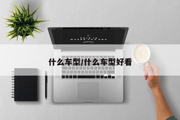 什么车型/什么车型好看