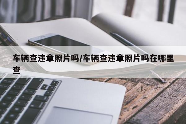 车辆查违章照片吗/车辆查违章照片吗在哪里查