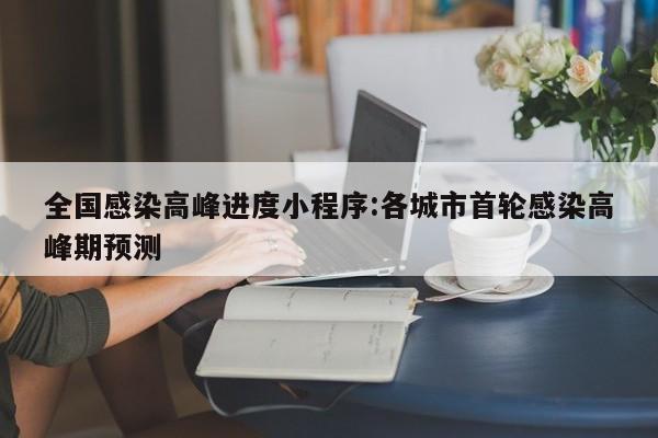 全国感染高峰进度小程序:各城市首轮感染高峰期预测
