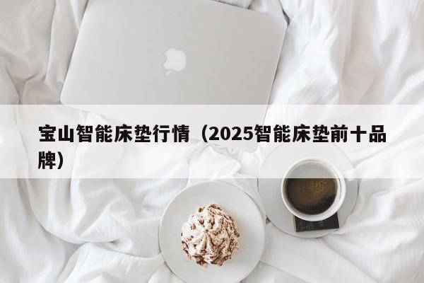 宝山智能床垫行情（2025智能床垫前十品牌）