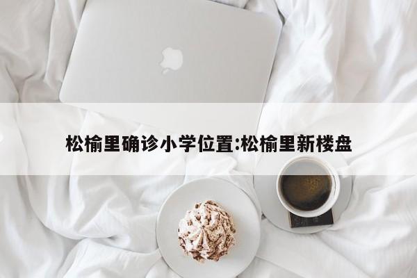 松榆里确诊小学位置:松榆里新楼盘