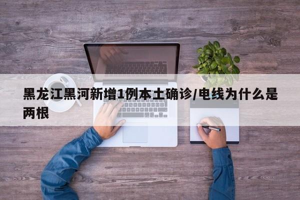 黑龙江黑河新增1例本土确诊/电线为什么是两根