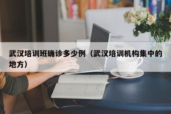武汉培训班确诊多少例（武汉培训机构集中的地方）
