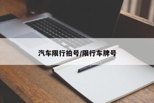 汽车限行拍号/限行车牌号